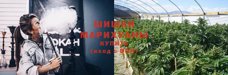 продажа наркотиков  Красновишерск  Канабис White Widow 